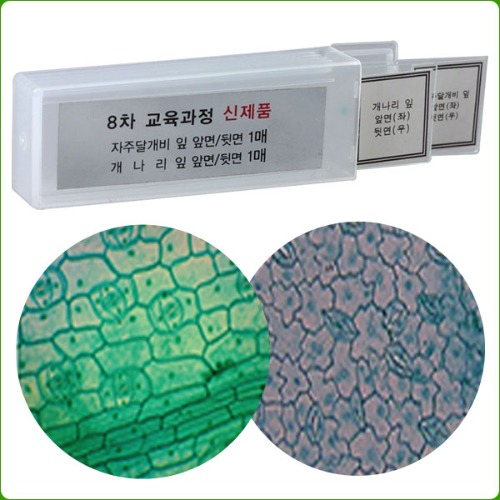 영구프레파라트(자주달개비,개나리,2종1조)