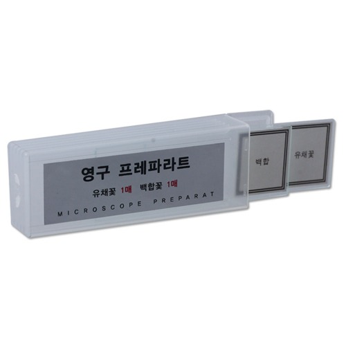 영구프레파라트(유채꽃,백합,2종1조)