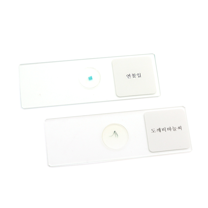 영구프레파라트(도깨비바늘씨,연꽃잎,2종1조)