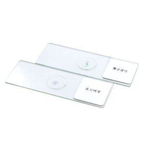 영구프레파라트(표고버섯,빵곰팡이,2종1조)