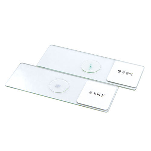 영구프레파라트(표고버섯,빵곰팡이,2종1조)