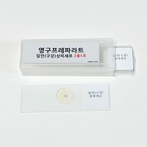 영구프레파라트(입안(구강)상피세포,2매1조)