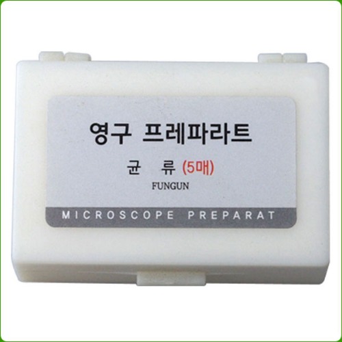 영구프레파라트(균류,5종1조)