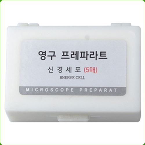 영구프레파라트(신경세포,5종1조)