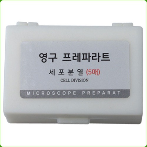 영구프레파라트(세포분열,5종1조)