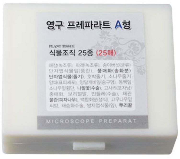 영구프레파라트A형(식물조직,25종25매)